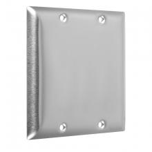 Raco-Taymac-Bell, a Hubbell affiliate WSS-BB - 2G STANDARD (2) BLANK STAINLESS STEEL