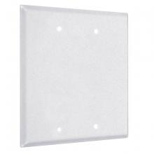 Raco-Taymac-Bell, a Hubbell affiliate WTW-BB - 2G STANDARD (2) BLANK WHITE TEXTURED