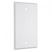 Raco-Taymac-Bell, a Hubbell affiliate WTW-B - 1G STANDARD BLANK WHITE TEXTURED