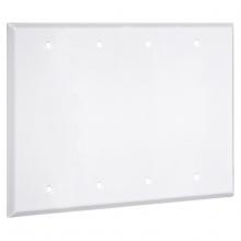 Raco-Taymac-Bell, a Hubbell affiliate WW-BBBB - 4G STANDARD (4) BLANK WHITE SMOOTH
