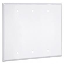 Raco-Taymac-Bell, a Hubbell affiliate WW-BBB - 3G STANDARD (3) BLANK WHITE SMOOTH