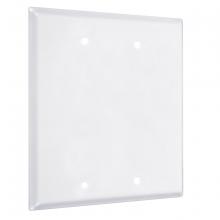Raco-Taymac-Bell, a Hubbell affiliate WW-BB - 2G STANDARD (2) BLANK WHITE SMOOTH