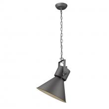 Trend Lighting by Acclaim TP10026GY - Crew 1-Light Pendant